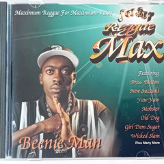 DUDE X SHAKE IT TO THE MAX (MTI MASHUP)