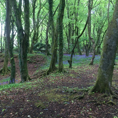 One day (rough demo)