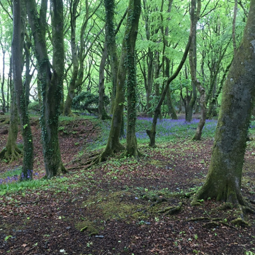 One day (rough demo)