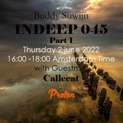 Callecat guestmix INDEEP 045 juni 2022 @ PROTON RADIO