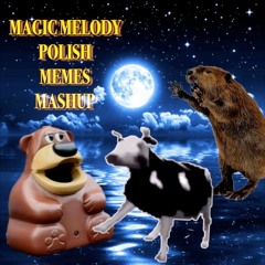 Magic Melody Polish Memes Mashup