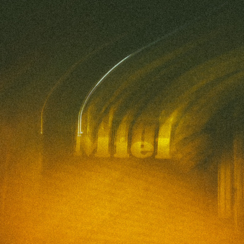 Osmose ( corbeille )