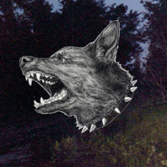 unreleased - searows 29/12/24