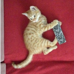 Bia Bia Deldar-e Man