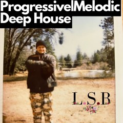 Progressive & Melodic House