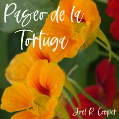 Paseo de la Tortuga