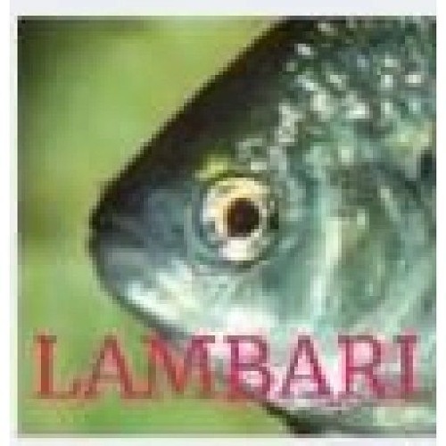 PEGA O PRESTOBARBA DESENTOCA ELE (( DJ KOALA6 ))