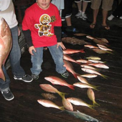 Review Special Price Half-Day Fishing Trip In Fort Lauderdale