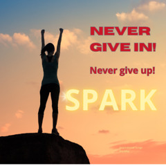 SPARK - never give in! never give up!...keep going!