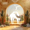 Night Flyer - Elysian Fields (Cafe De Anatolia)