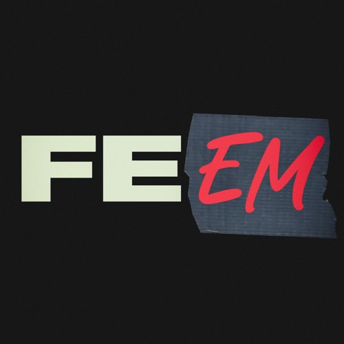 FEEM (FEIN REMX)