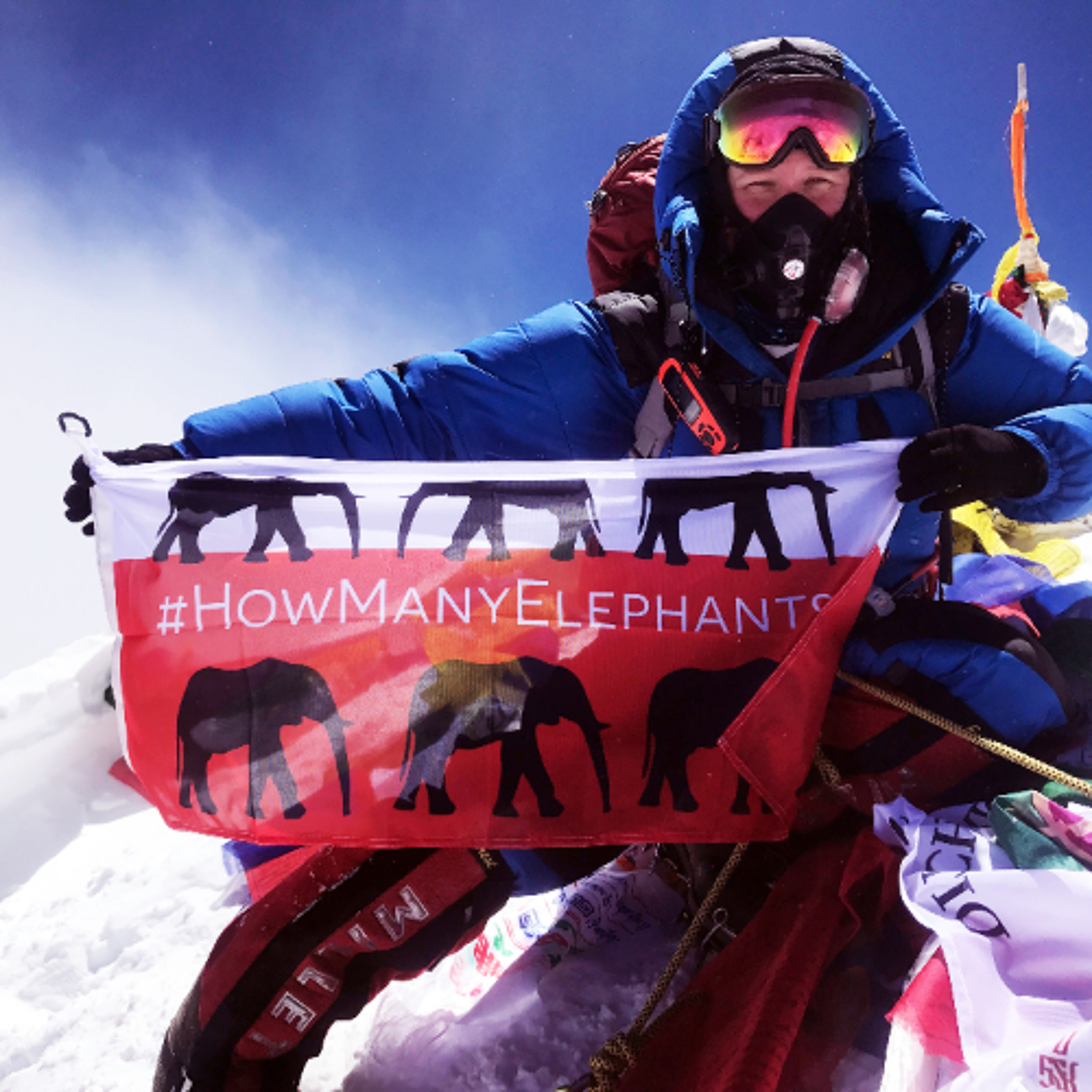 Holly Budge Skydived Off Mt Everest and Built a Global Charity for Female Rangers episode artwork