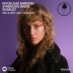 Mycelium Shroom Syndicate - 22 Septembre 2023