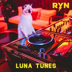 Luna Tunes (Drum & Bass Mix)