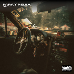DANZ - Para Y Pelea [FREE DL]