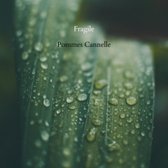 Fragile