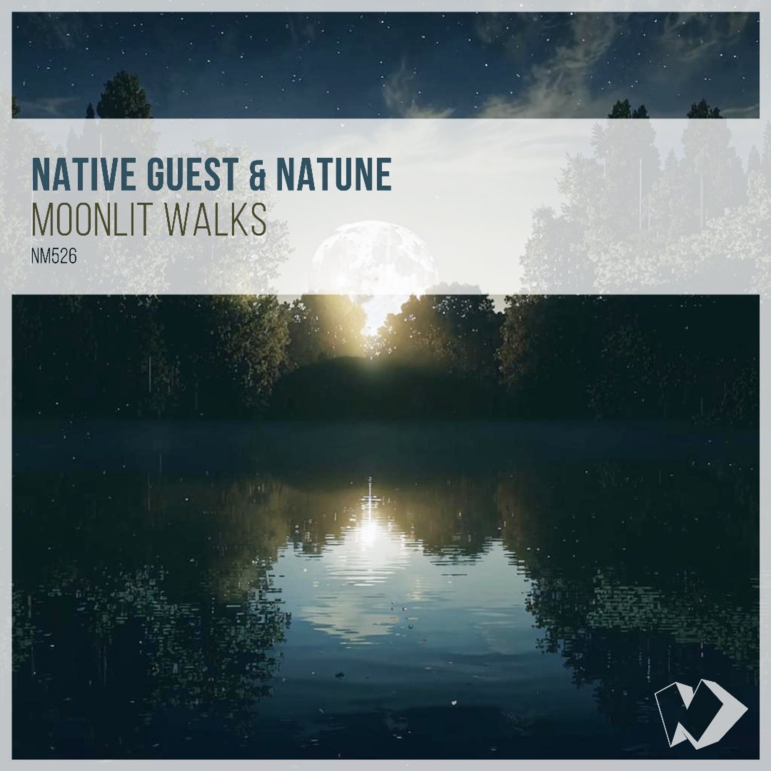 Native Guest & Natune - Moonlit Walks (Dub Mix) episode artwork