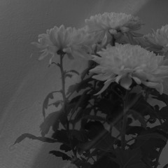 Charlie Noir | Root Radio 30/12/2021