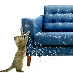 scratching furniture