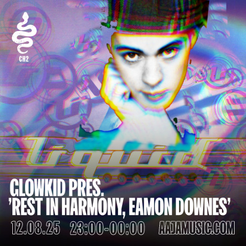 Glowkid Pres. 'Rest In Harmony, Eamon Downes - Aaja channel 2 - 12 08 25