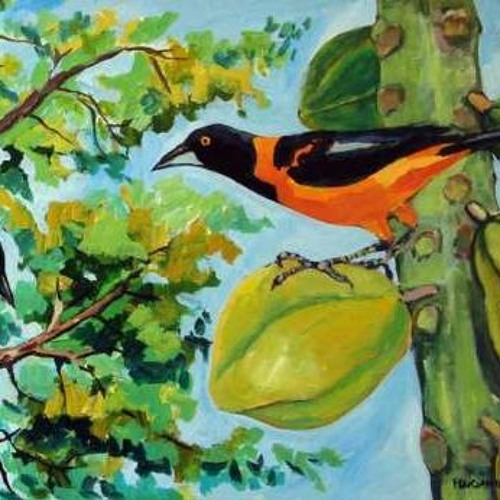 especial set corrupião ( GoA DiO ).