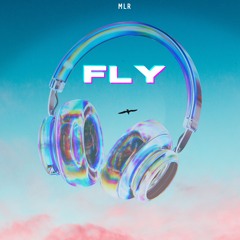 MLR - FLY