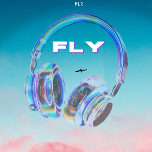 MLR - FLY
