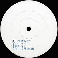 DJ Phantasy & DJ Gemini - Never Try The Hippodrome