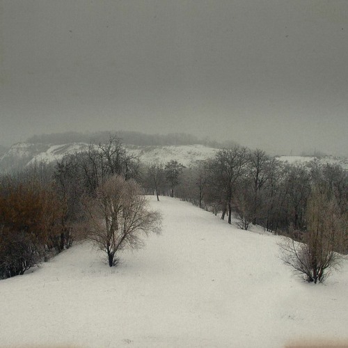 Cousin Silas - Icicles