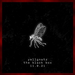Yellgnatz at The Black Box (11.9.21) [All Original]