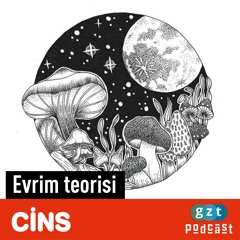 Evrim teorisi - Ömer Türker