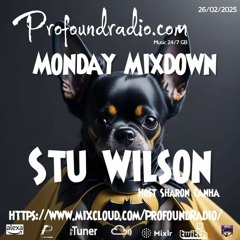 Profound Radio  Progressive House @djstuwilson