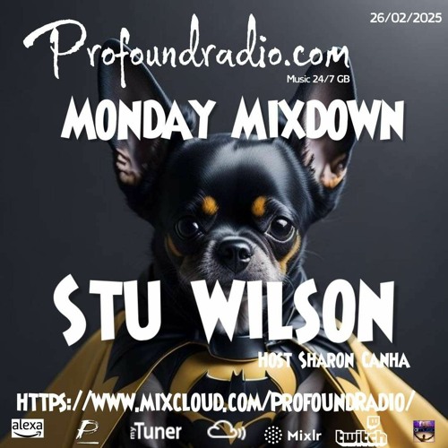 #104 Profound Radio  Progressive House @djstuwilson