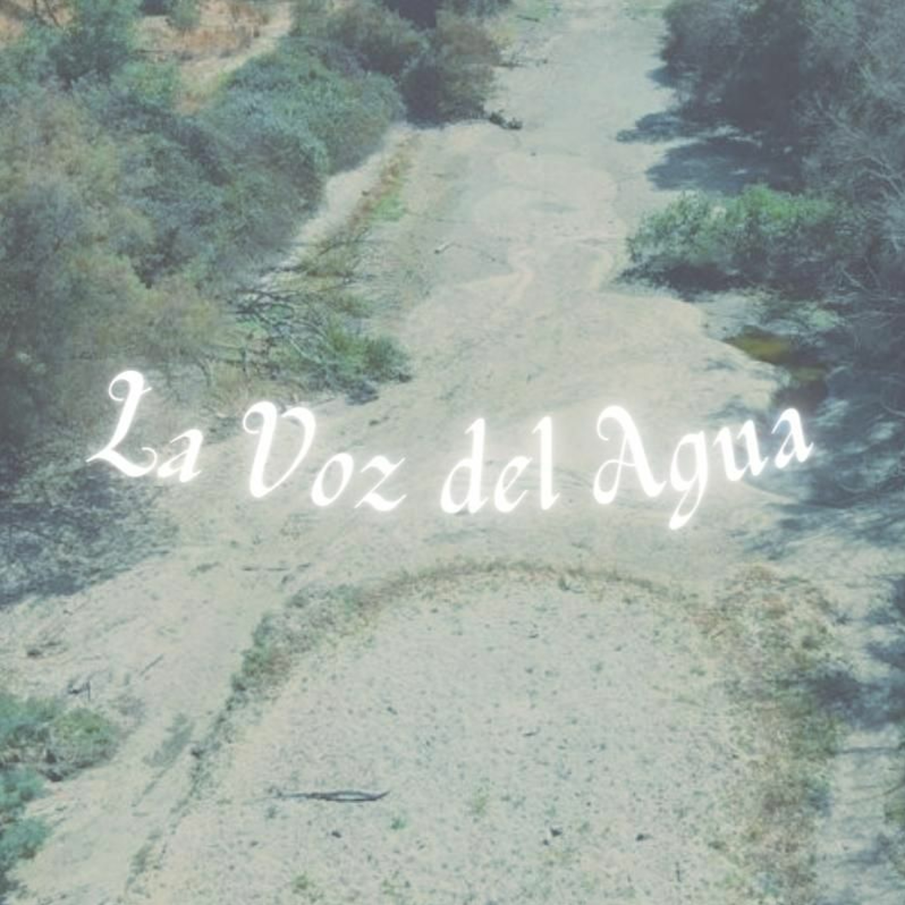 La Voz del Pueblo