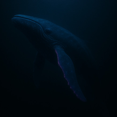 Melodic Sessions - Episode 3