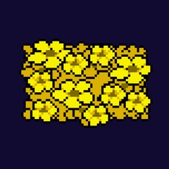 04 - Narah