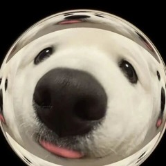 Chưa Từng Vì Nhau Remix - Karik x V.P Tiên x Mạnh LTK