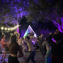 Year of the Dragonfly: 2024 Ecstatic Dance Mix