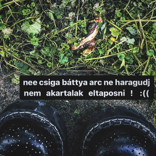 kőkemény a stomper rajtam, de a szívem lágy.. flexi + én.mp3
