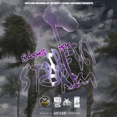 Perfect Storm [Prod. By LIVING PUFF X Elle Gante]