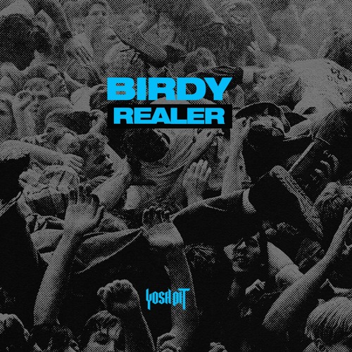 Birdy - Realer (YoshPit)