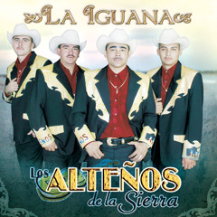 El Foco (Version Ranchera)