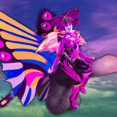 Phallus Butterfly Ryders