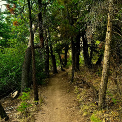 chiwichiwi // DJ Mix (ft. Interplantetay Criminal, Tom VR, Fred Again, Four Tet, Skrillex, Duskus, Chris Stussy, Denham Audio, IsGwan, Pablo Aristmuno, Paul Sirrell, Silva Bumpa, Sammy Virji, MPH, DJ SWISHERMAN, DJ Heartstring, Overmono, etc.