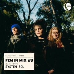 Fem In Mix #3 w/ System Sol