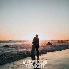 Whitewildbear - Tonight