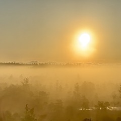 to live and breathe demo