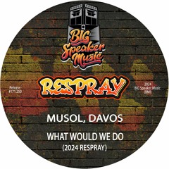 MuSol & Davos - What Would We Do [ Preview ]