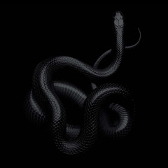 SNAKE [Prodbyon1]