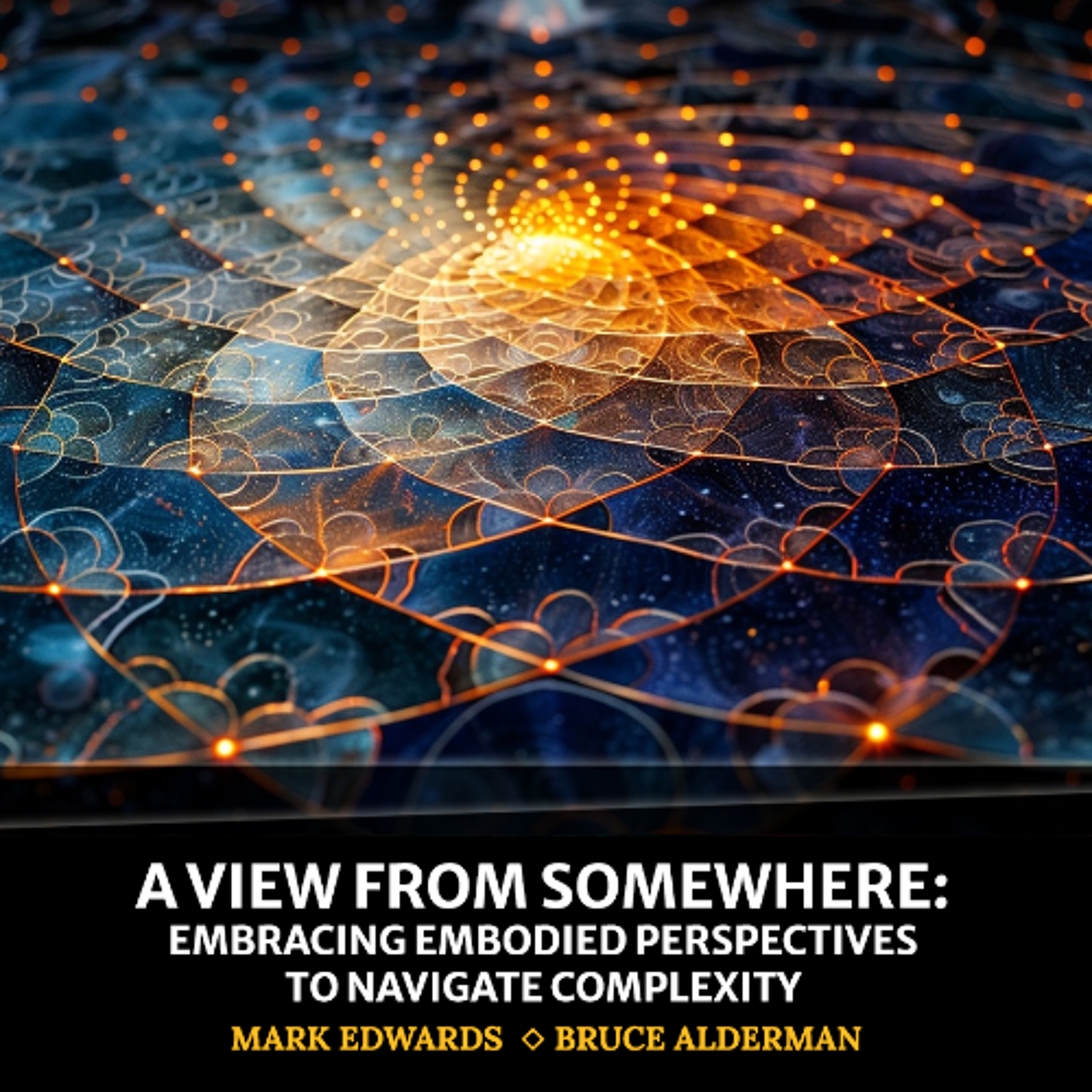 cover of episode A View From Somewhere: Embracing Embodied Perspectives to Navigate Complexity